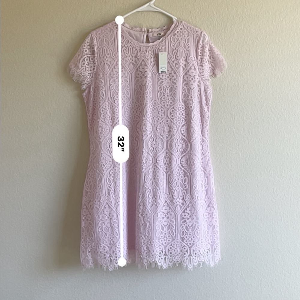 MI AMI - Francesca’s - Boutique Pink Lace Mini Dress Cap Sleeve Women’s Large - Picture 5 of 15